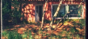 calm and sunny summer house nested in a lush pine garden 800m to the beach. 