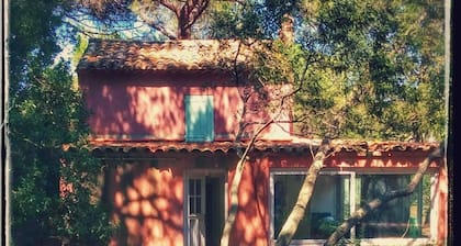 calm and sunny summer house nested in a lush pine garden 800m to the beach.
