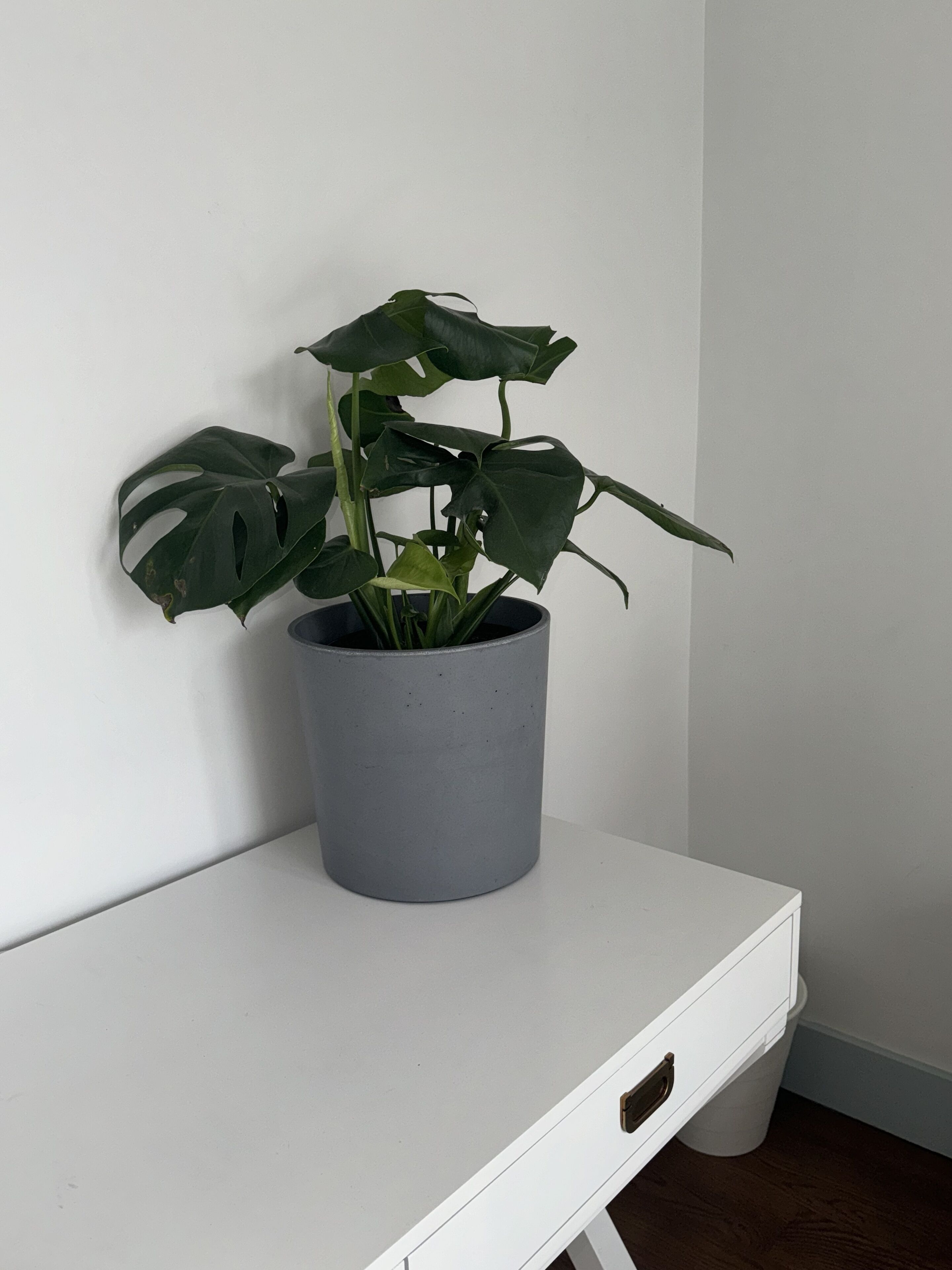 Cozy Brooklyn retreat beautiful three bedroom 
