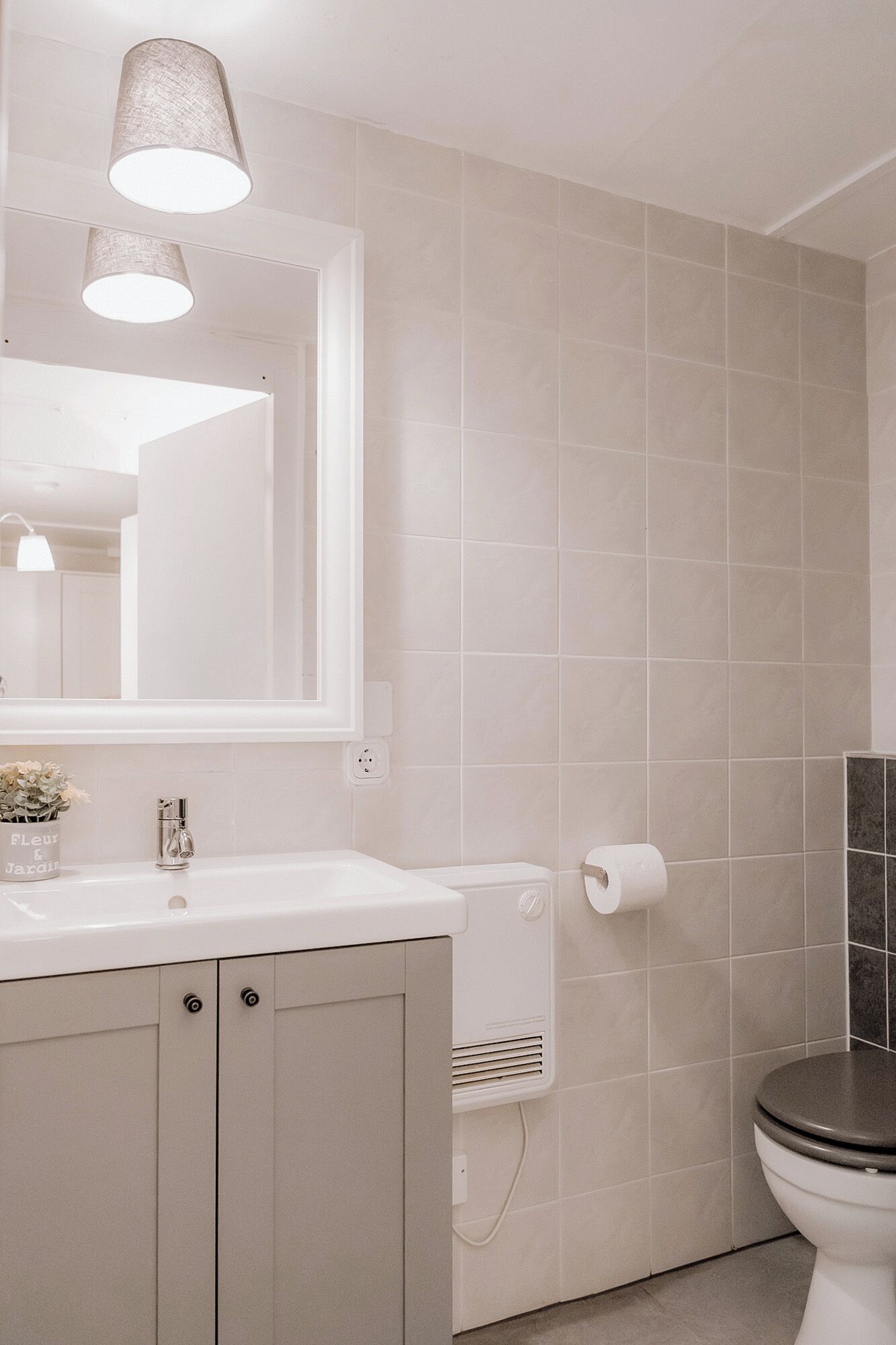 Un bagno con lavandino bianco, specchio e water. Sul lavandino c'è una piccola pianta e un rotolo di carta igienica sulla parete.