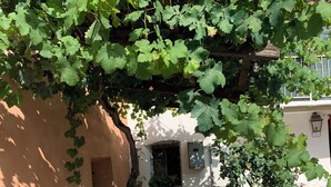 A patio area with wicker furniture, potted plants, and a pergola covered with grapevines. - Censo Guest House : are you ready for your next adventure? (Marsaglia)