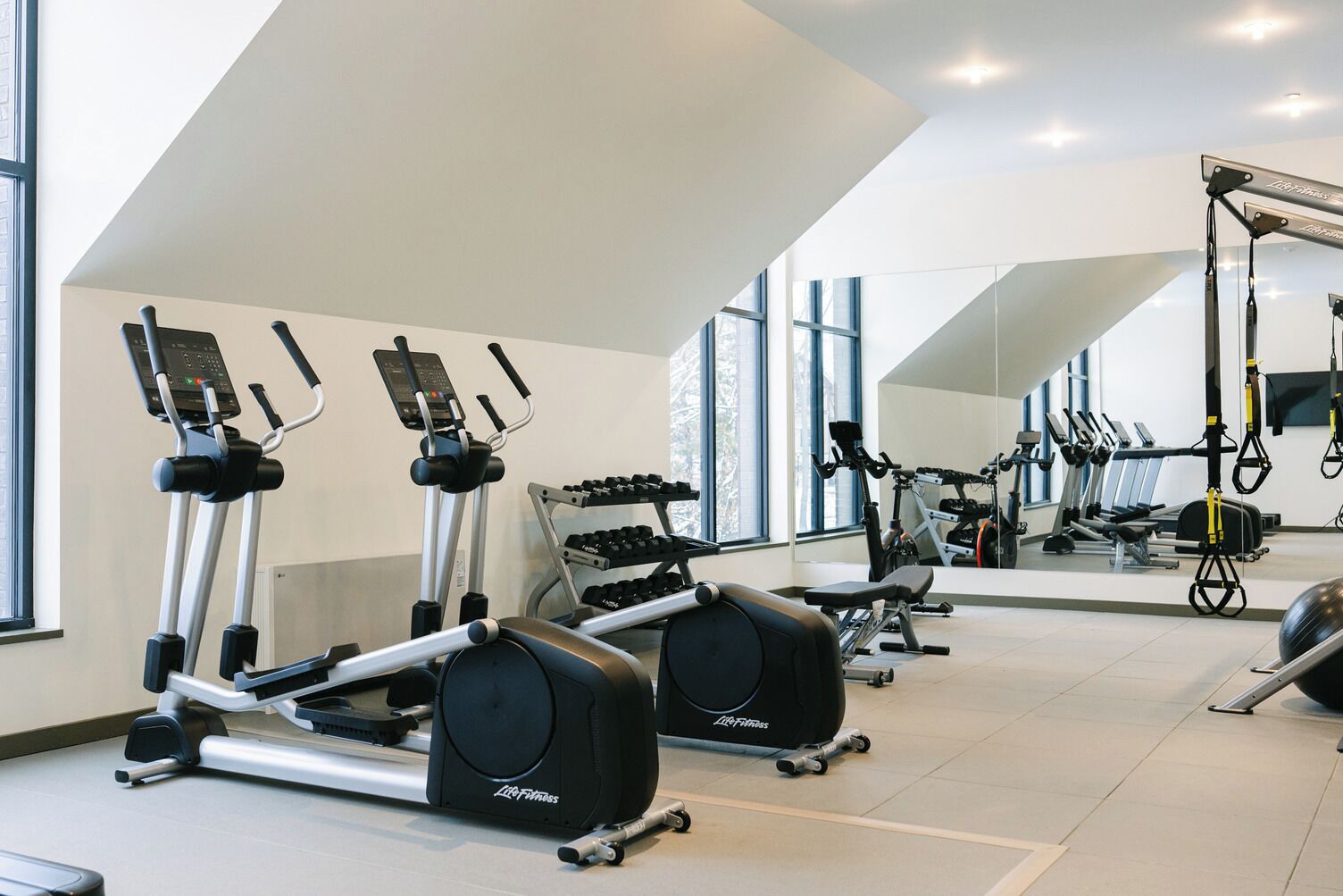 A modern gym with cardio machines, weight stations, and mirrors.