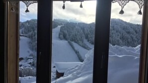 Näkymä ikkunasta, jonka kehys on tehty puusta. Ikkunasta avautuu lumipeitteinen maisema, jossa on puita ja polku.