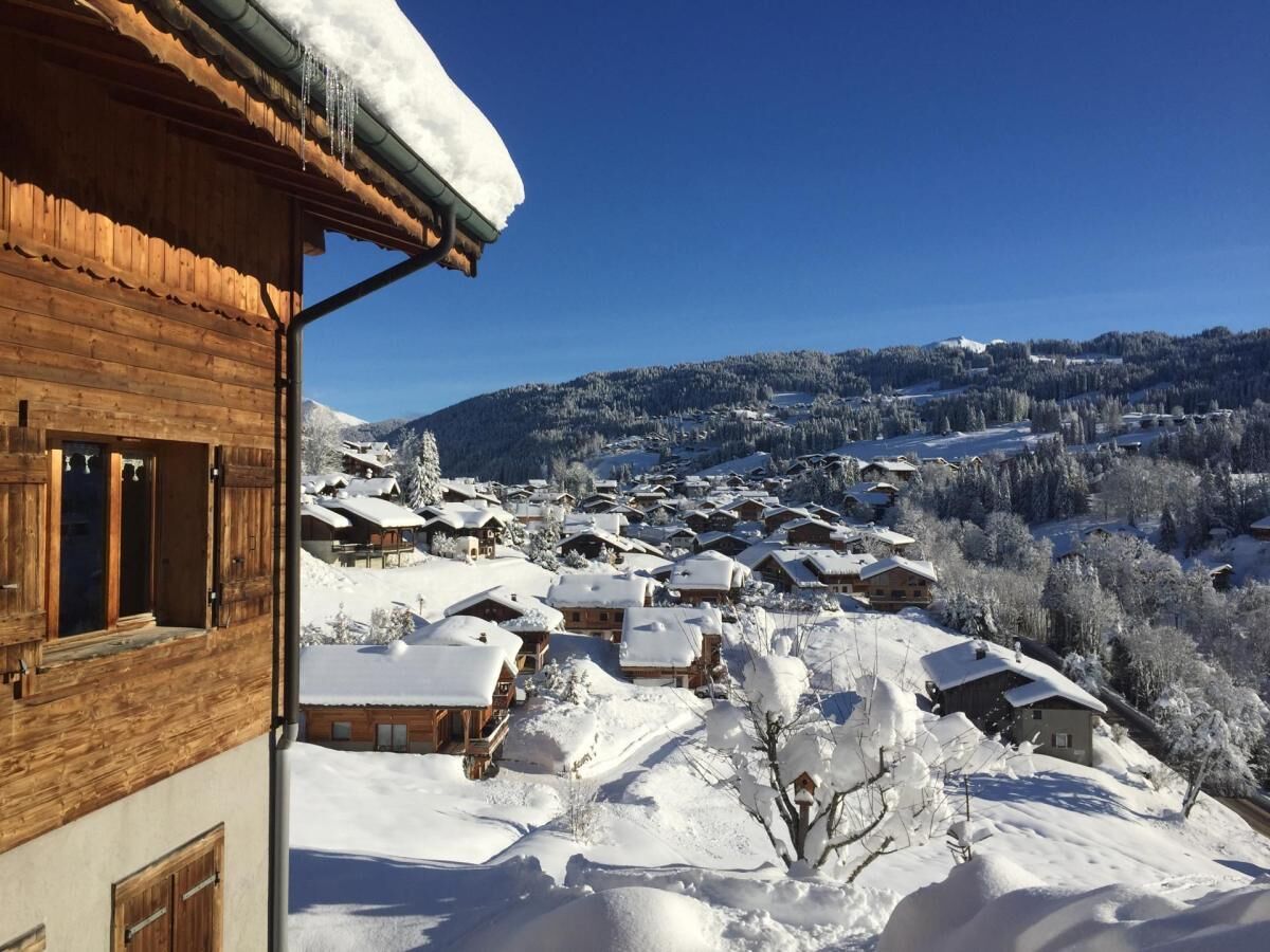 A wooden building with a snow-covered roof and a view of a snow-covered village with houses and trees.