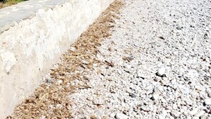 Een gebouw aan het strand met meerdere balkons, palmbomen en een kiezelstrand.