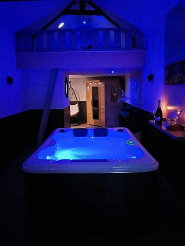 Inédit! Spa, Piscine, Salle de Jeux