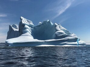 A large iceberg in the ocean. - Stunning Ocean View Home (Summerford)