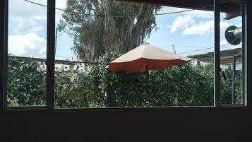 A window with a view of a tree and an umbrella outside.