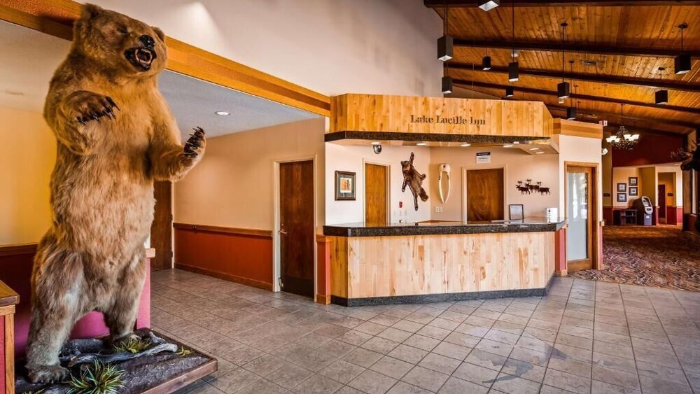 Your Gateway to Adventure in Alaska Lakefront Stay Wasilla Vrbo