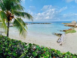 A beach with clear blue water, a palm tree, and a thatched-roof structure.