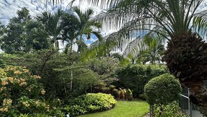 A well-maintained garden with various plants and a palm tree. - Private house with heated pool in the custom tropical garden.
 (Naples)