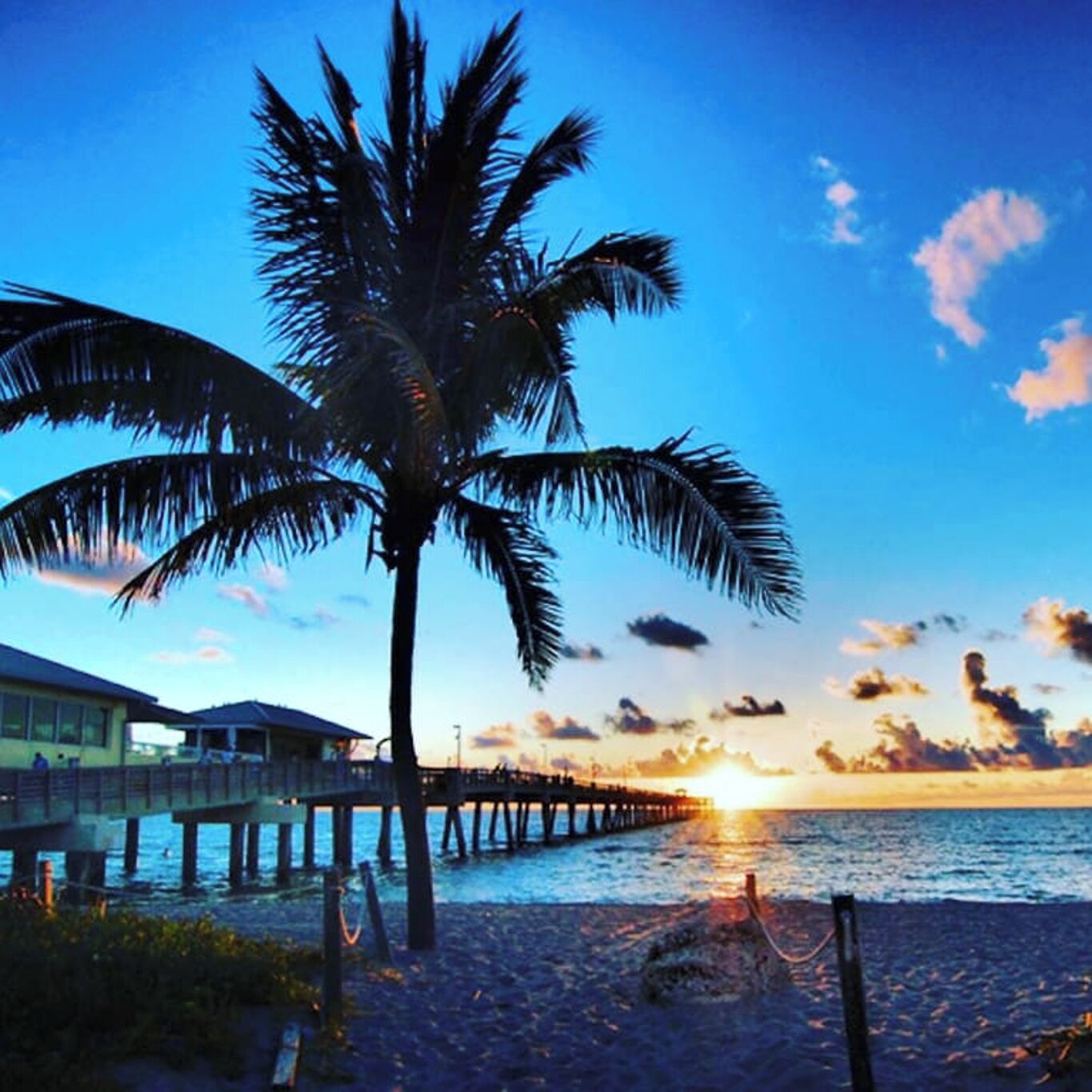 Paradise in South Florida