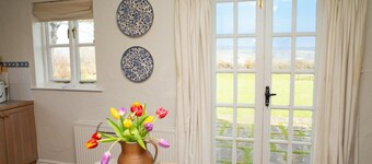 Brynceirios, Newport