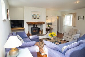 TV, fireplace - Brynceirios, Newport (Newport)