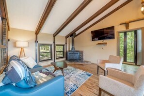 Smart TV, chimenea, reproductor de DVD