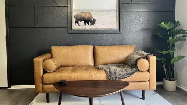 A tan leather sofa with a throw blanket, a wooden coffee table, and a framed picture of a bison on a dark wall. - Exclusive Loft (San Antonio)