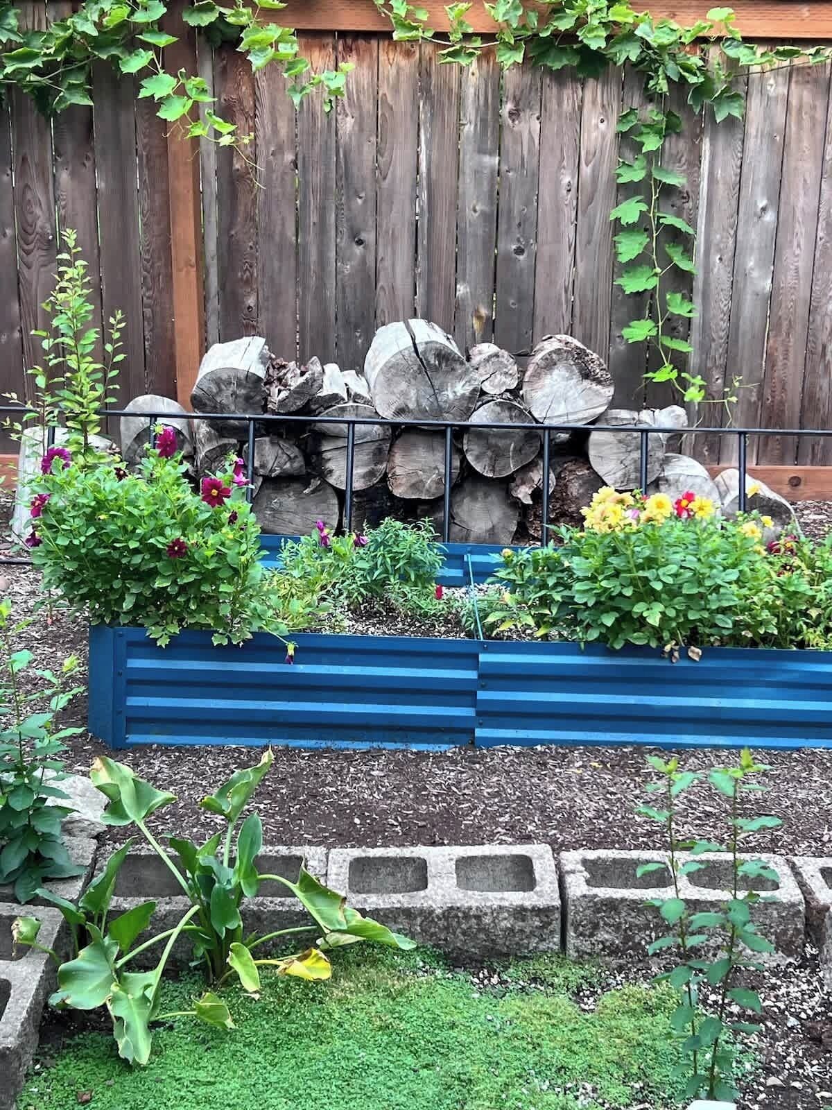 Un cantero con plantas y troncos, una valla de madera y un jardín elevado azul.