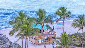 Un edificio frente a la playa con una terraza de madera, rodeado de palmeras y vistas al océano.