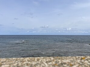 Ranta