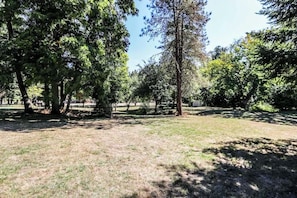 Miscellaneous - Forest Retreat 3BR • Near UO, Autzen & River (Springfield)