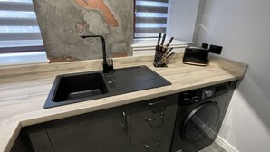 Une cuisine compacte équipée d’un évier, d’un lave-vaisselle et d’un appareil combiné lave-linge et sèche-linge.