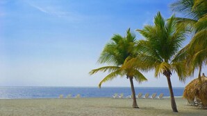 A beach with palm trees, a thatched hut, and sun loungers. - Hotel Irotama XXI (Santa Marta)