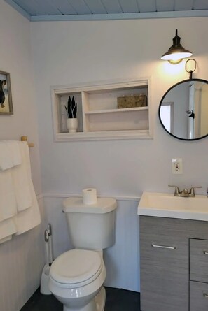 A bathroom with a toilet, sink, and mirror. - 100' Lake Huron Beachfront, LP9 Snowmobile Access

 (Cheboygan)