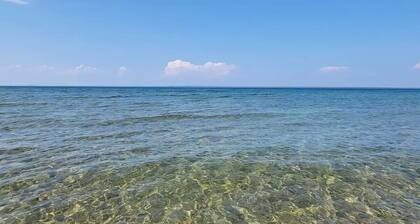 100' Lake Huron Beachfront, LP9 Snowmobile Access
