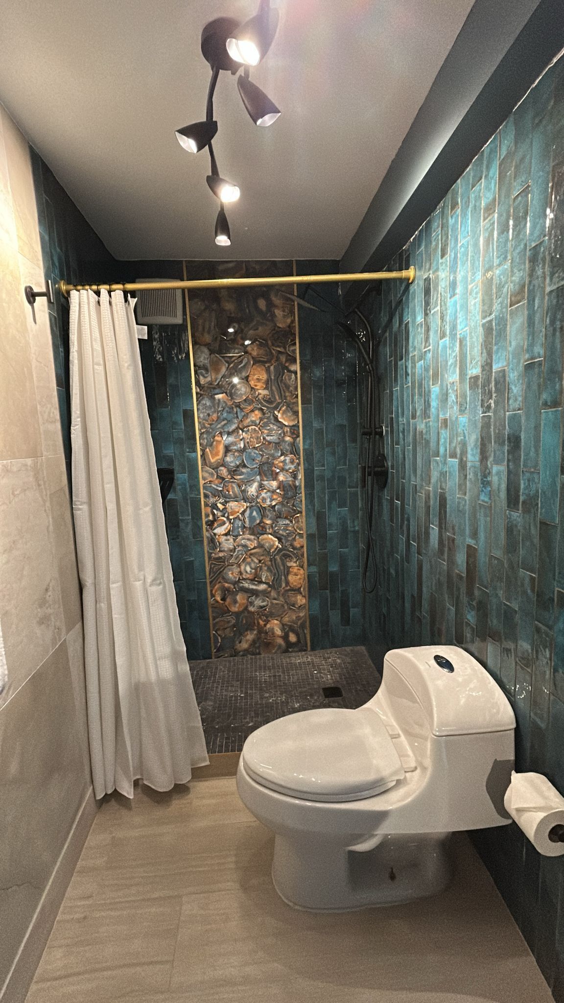 Een badkamer met een douche, toilet en een gordijn.