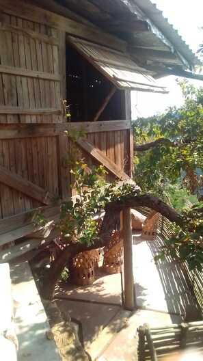 Exterior - Khopho Backpackers (Mankayane)