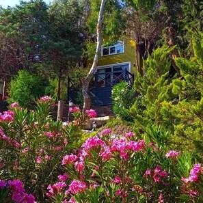 华丽木屋, 1 张大床和 1 张沙发床, 海景, 山腰 | 外观