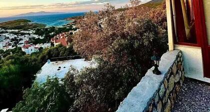 Sole Foca ( Ages 12+ )