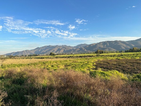A rural landscape with fields and mountains in the background.