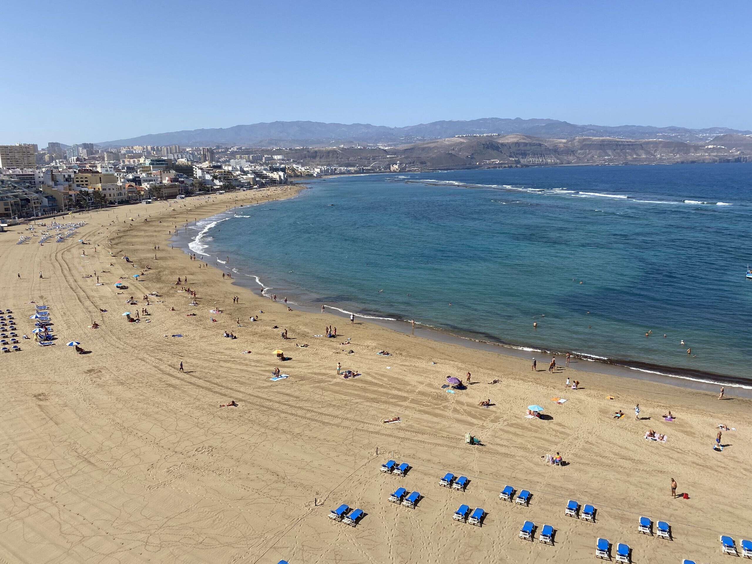 A beach with rows of blue beach chairs and umbrellas, a clear view of the ocean, and buildings in the background.