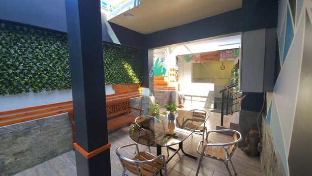 Un intérieur moderne avec une table en verre, des chaises en métal, un banc en bois et un mur décoré de feuillages verts.