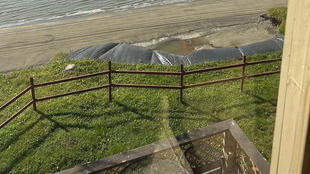 Property grounds - Tide Place - Whale Spout (Kenai)