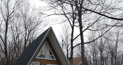 This rustic cabin is only 30 minutes from Quebec
city. Lake view, small beach.