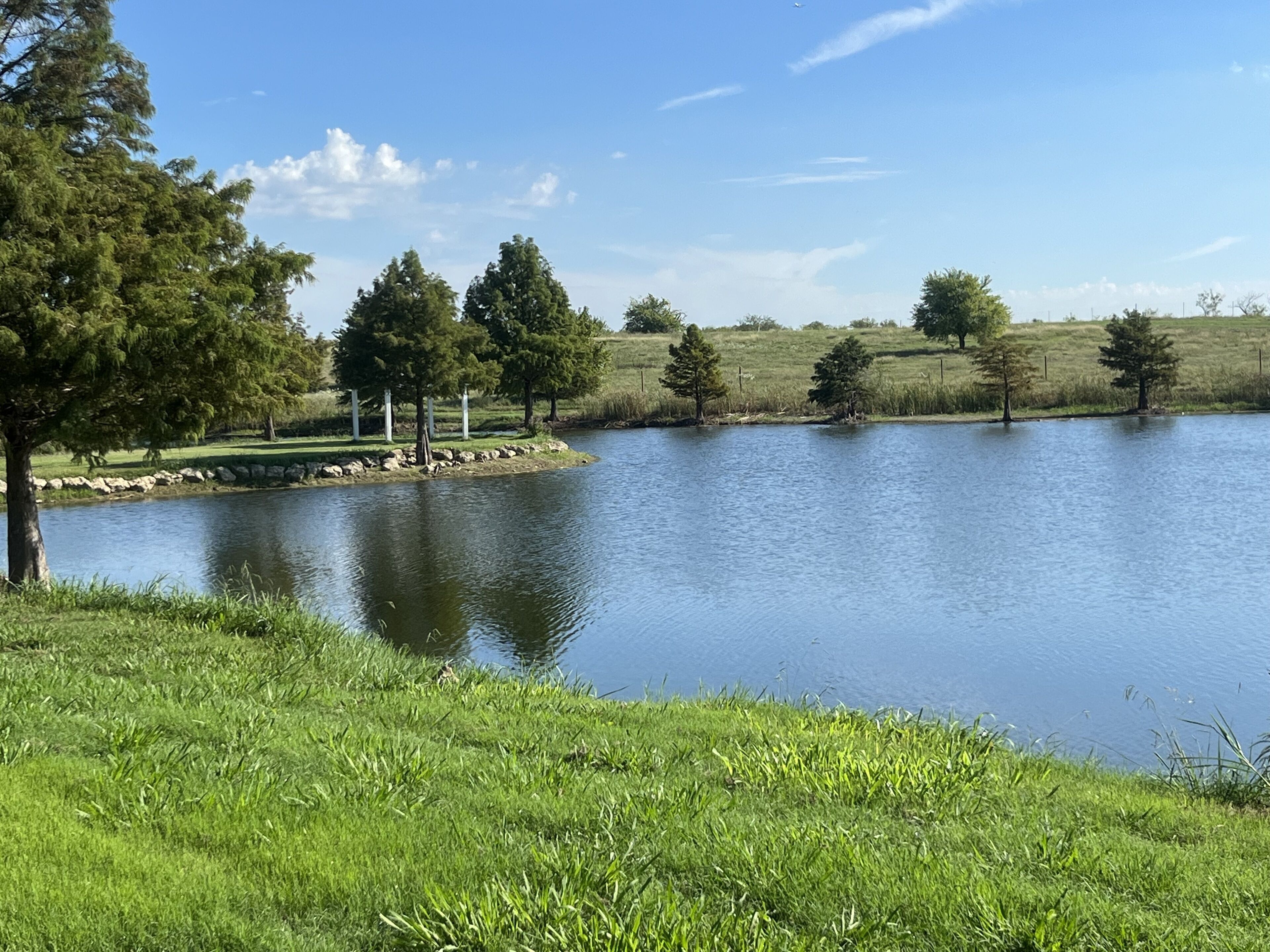 A serene lakeside scene with a grassy foreground, trees, and a clear sky.