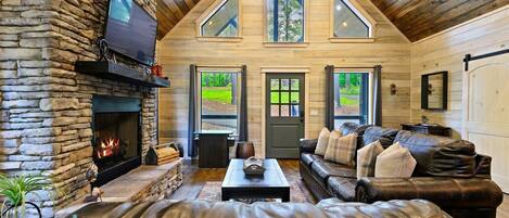 Télévision, cheminée, jeux vidéo