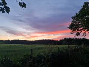 Assecador de cabells, tovalloles i paper higiènic 