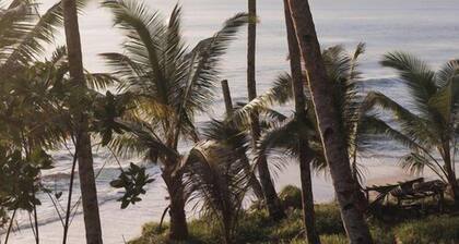 Kaini Mentawai