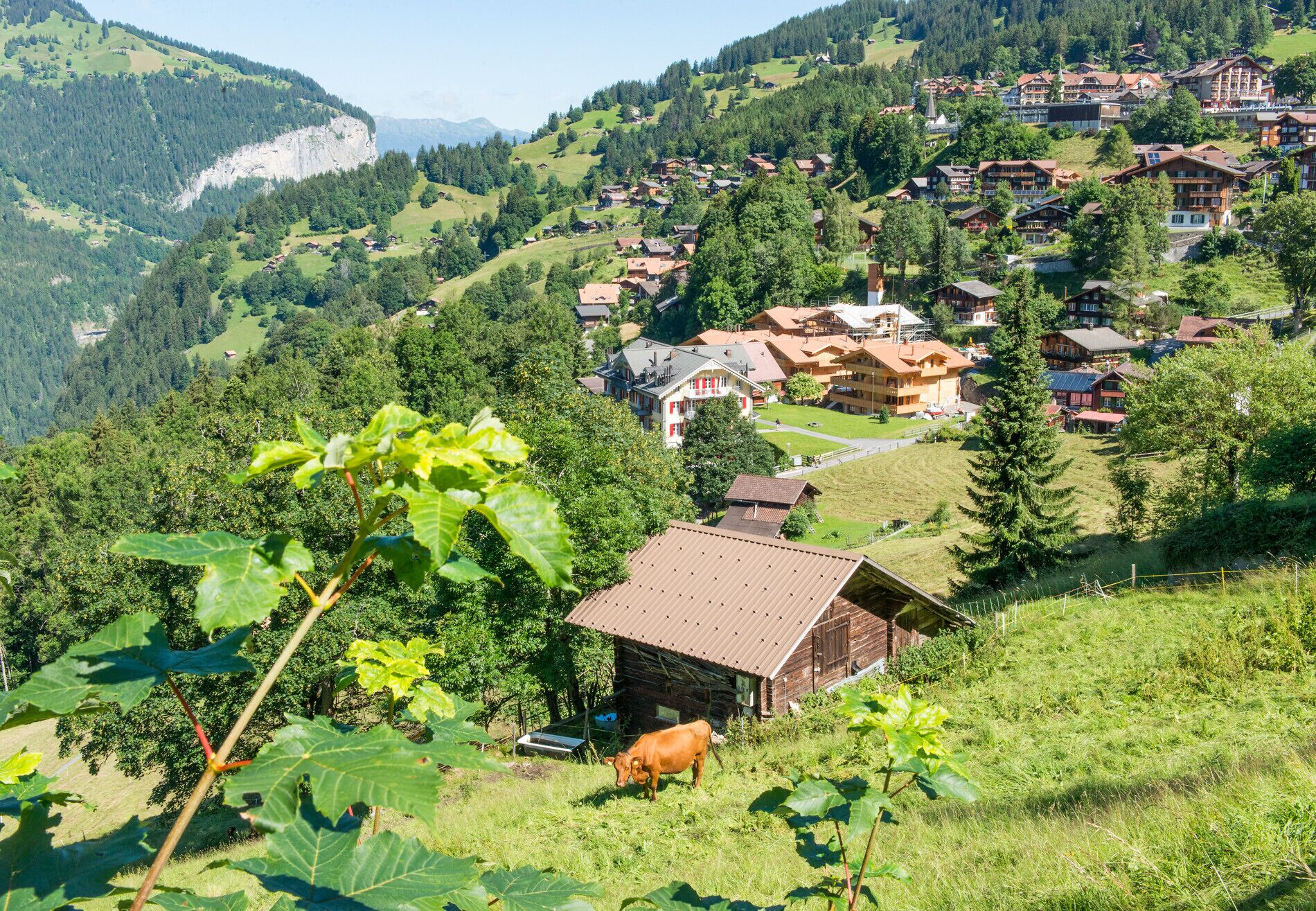 Un borgo rurale con case tradizionali, un piccolo fienile e una mucca al pascolo.