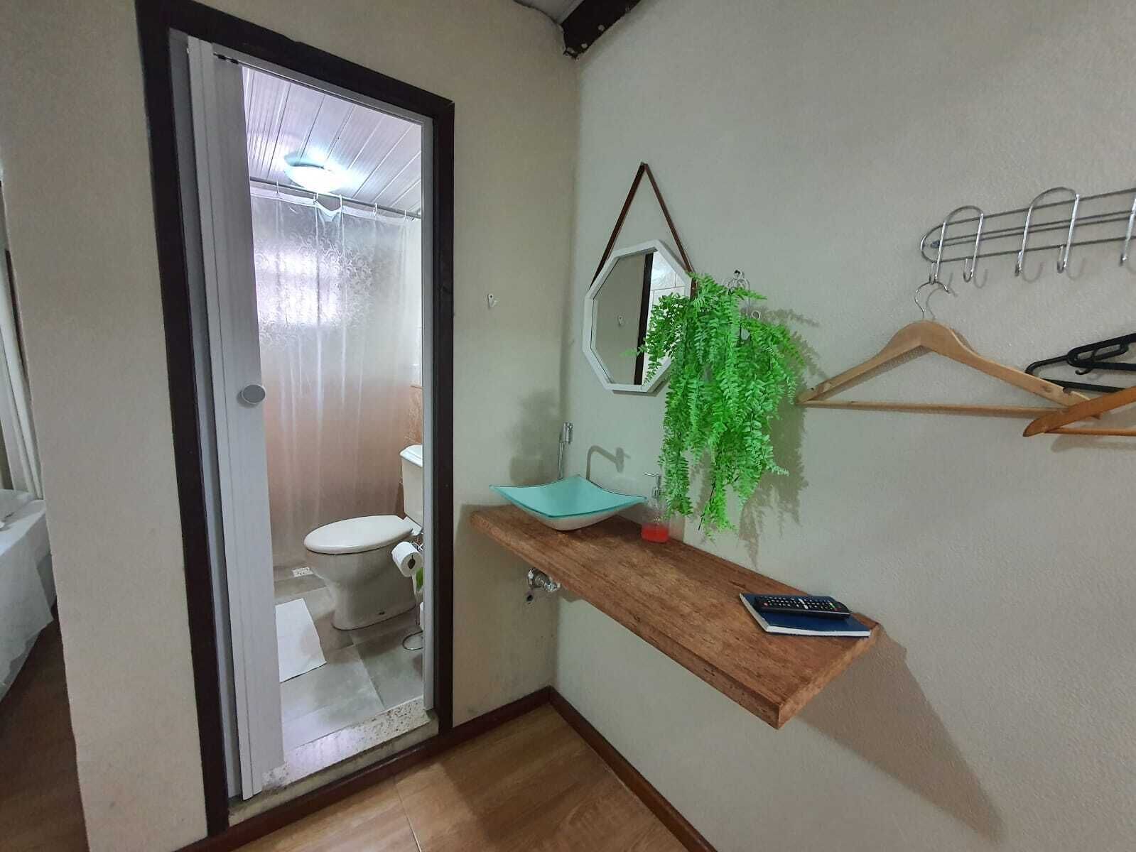 A bathroom with a toilet, a sink with a mirror, a wooden shelf, and a hanging plant.