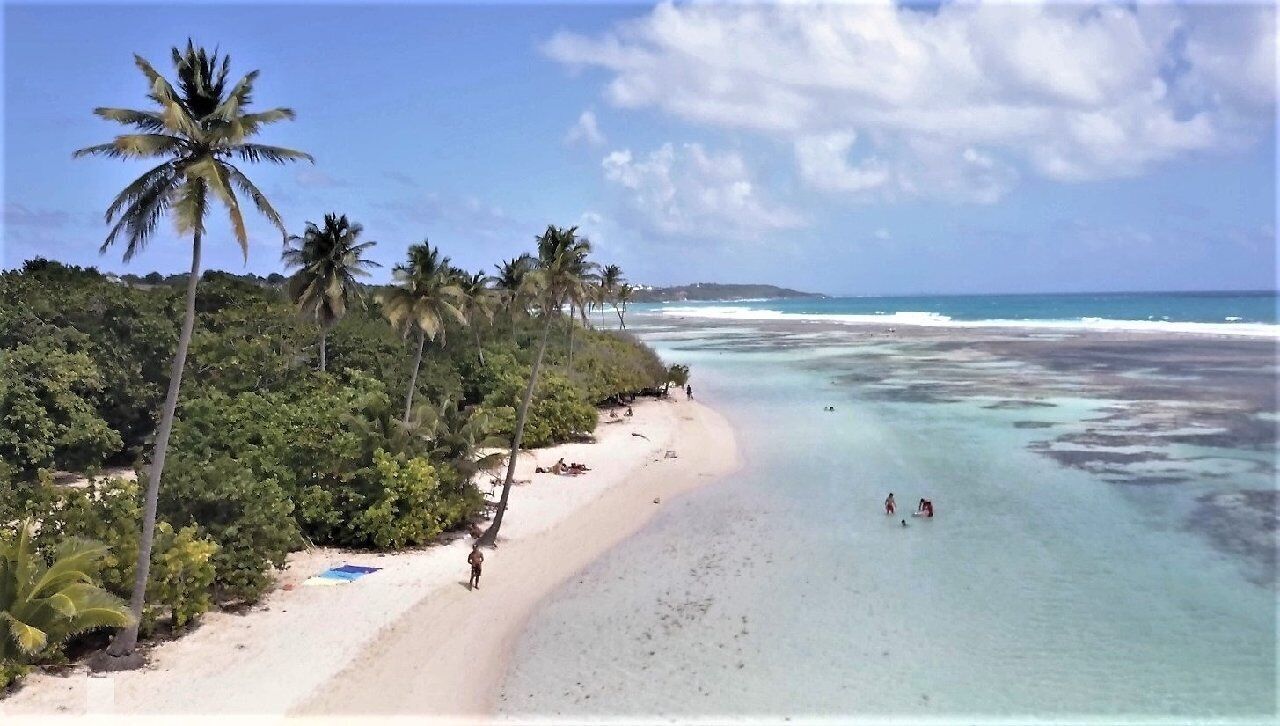 Chaises longues, serviettes de plage