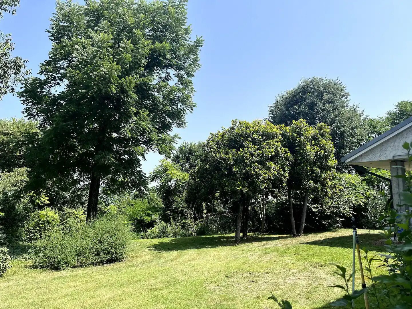 A well-maintained garden with a variety of trees and shrubs, a grassy lawn, and a small building with a sloped roof.