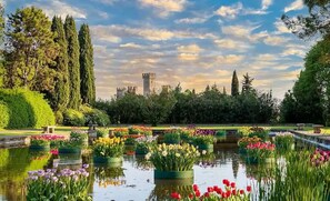 A garden with a pond, various flowers, and a distant castle-like structure.