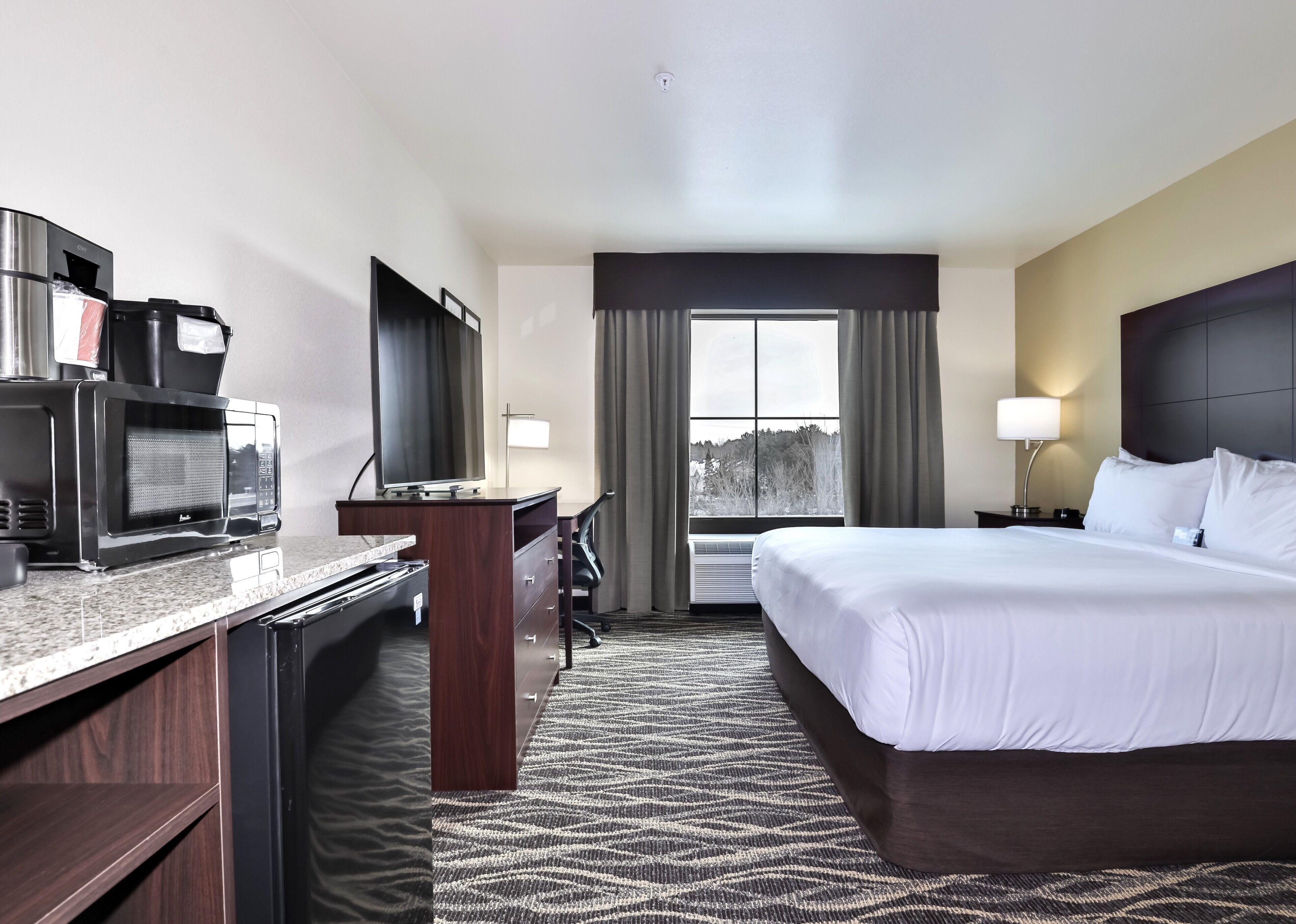 A hotel room with a bed, desk, microwave, TV, and a view of the outdoors.