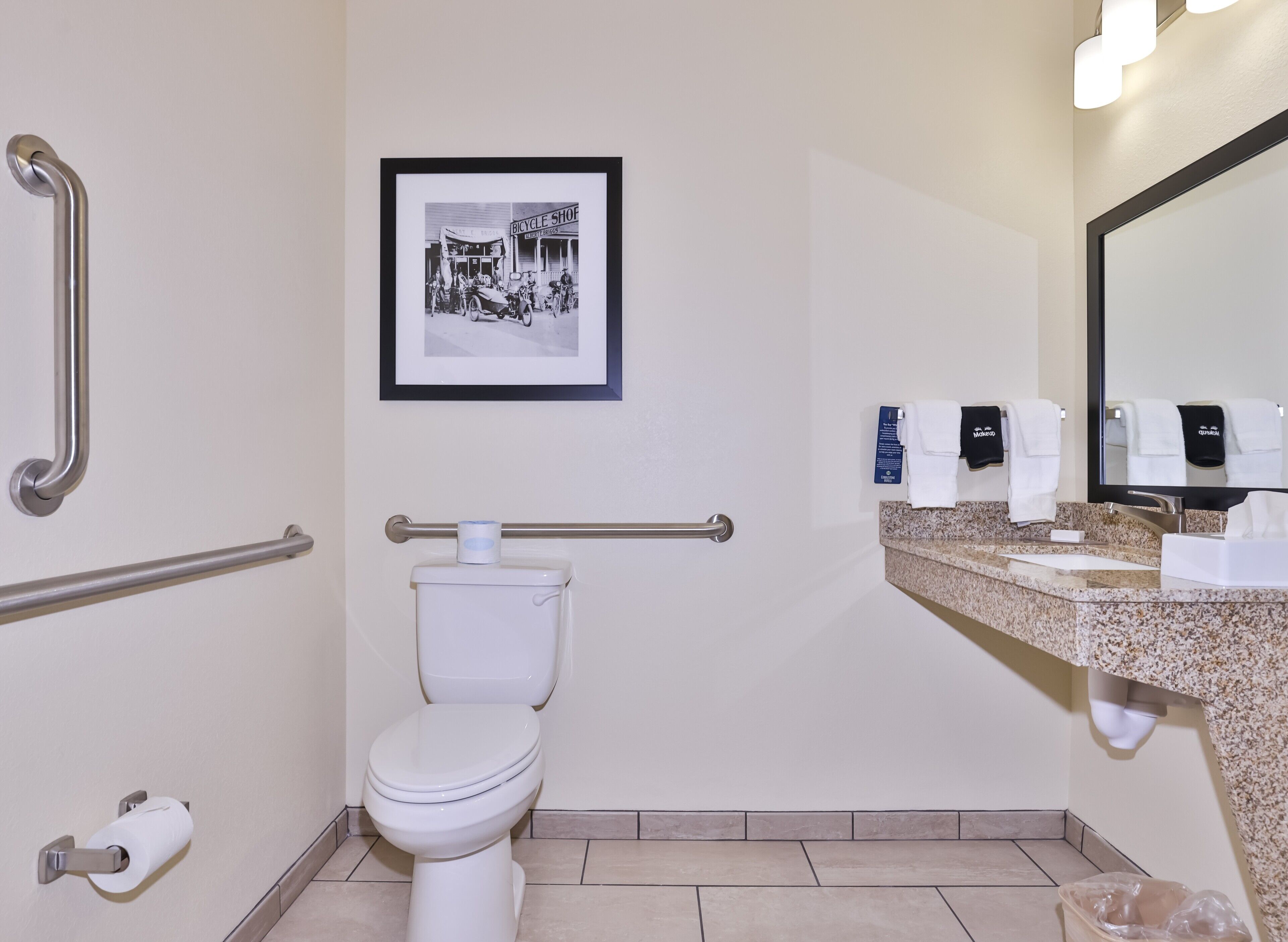 A bathroom with a toilet, handrails, a framed picture, a sink with soap dispensers, and a mirror.