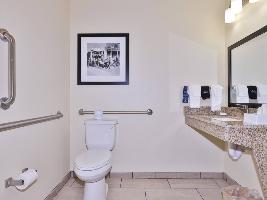 A bathroom with a toilet, handrails, a framed picture, a sink with soap dispensers, and a mirror.