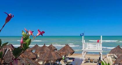 Stijlvolle Agriturismo met Zwembad en 5 Goed Uitgeruste Vakantieappartementen